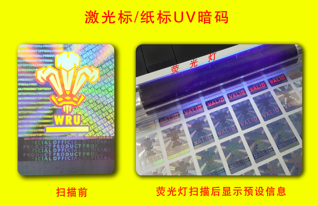 荧光91香蕉APP成人污在线观看标签